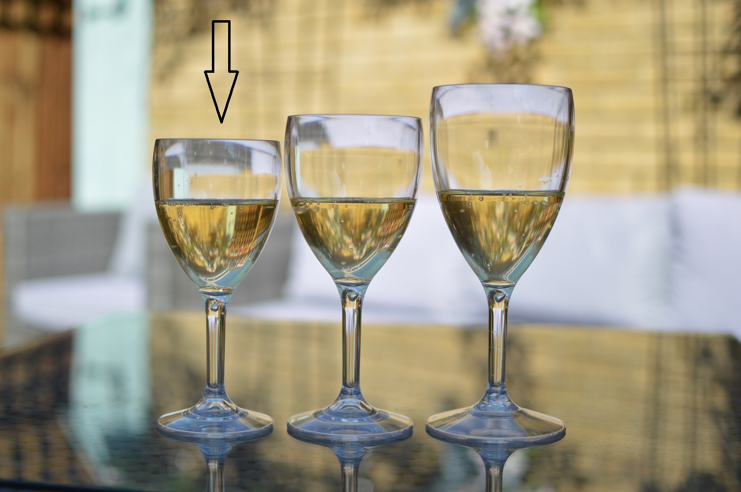Plastic Wine Glasses Polycarbonate 255ml Catering Products Direct