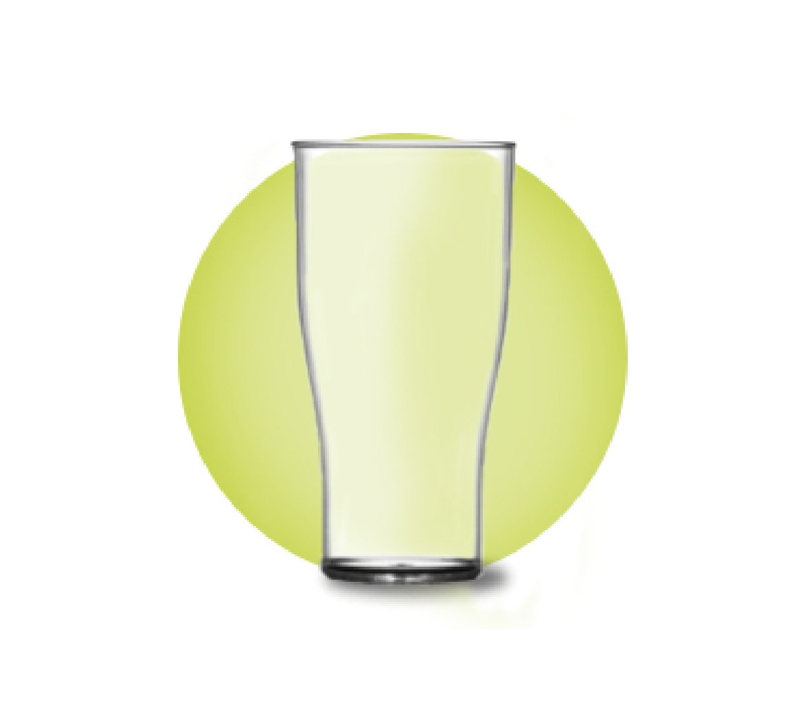 ECON Rigid Reusable Plastic 20oz Plastic Pint Glasses Pack of 10