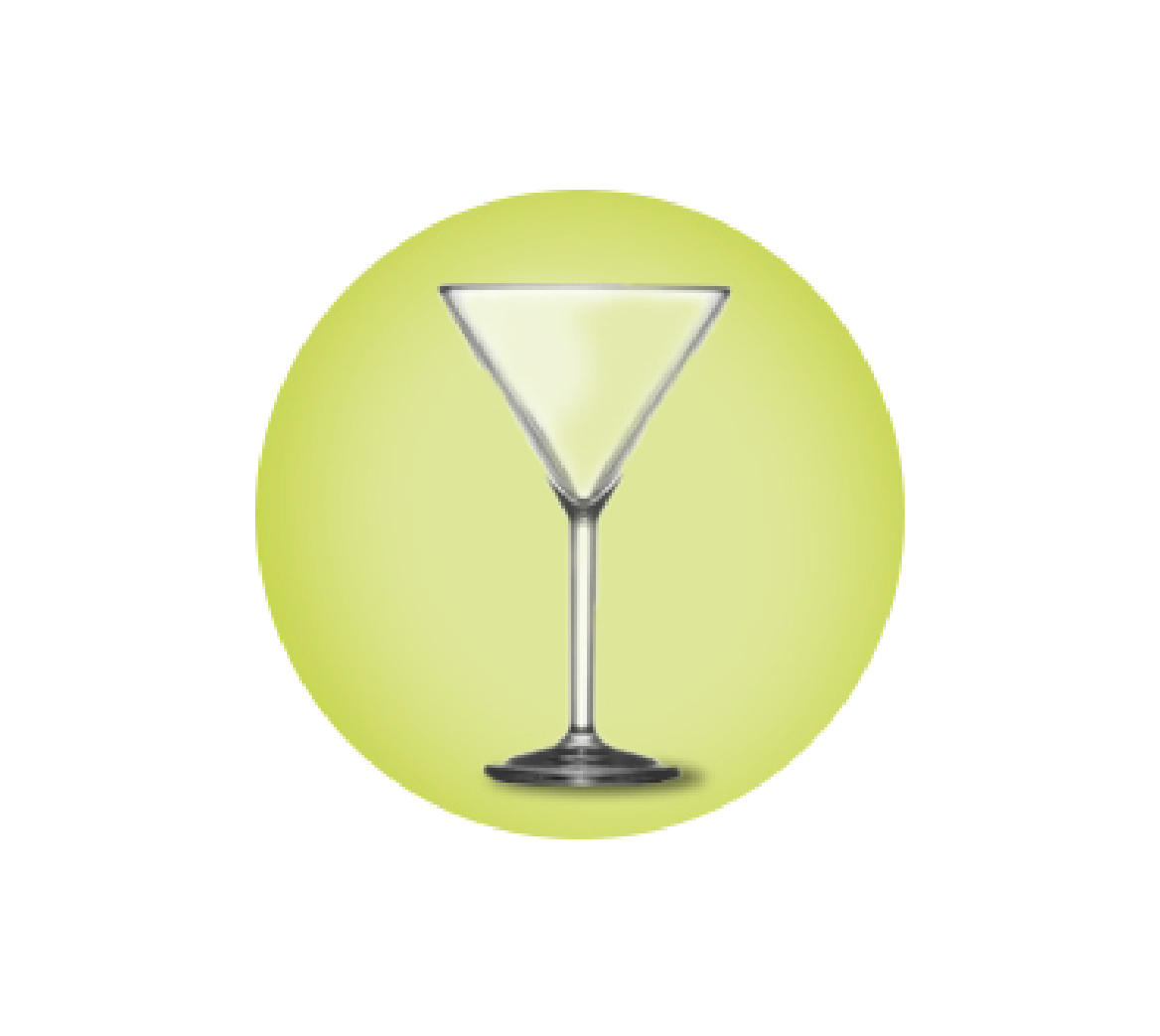 Elite Martini Glasses Polycarbonate