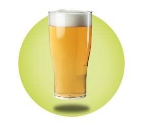 Extra Large - Tulips