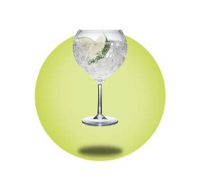 Plastic Gin Glasses & Plastic Cocktail Glasses