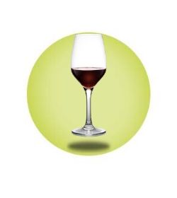 Elite - Plastic Wine Glasses