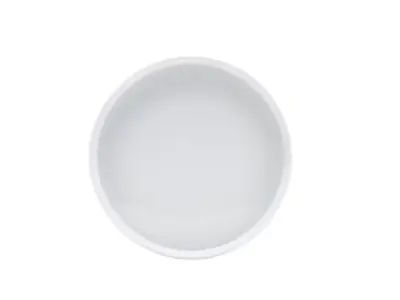 Genware Porcelain Presentation Plate 25cm/ 9.75"