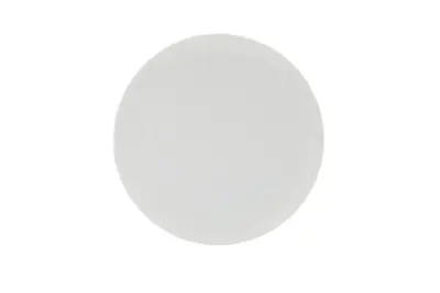 Incise Porcelain Lavara Coupe Plate 25.5cm