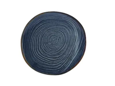 Terra Porcelain Aqua Blue Organic Plate 28.5cm