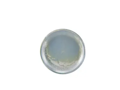 Terra Porcelain Seafoam Coupe Plate 19cm