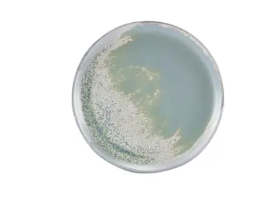 Terra Porcelain Seafoam Coupe Plate 27.5cm