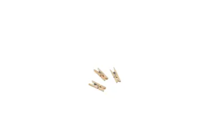 Miniature Wooden Pegs 2.5cm/ 1"  (1000pcs)