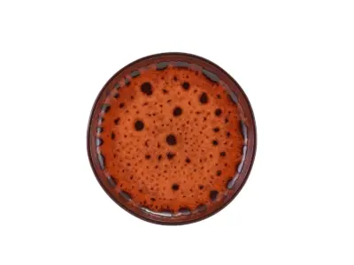 Sabrosa Sol Plate 19.5cm