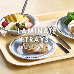 Laminated Trays